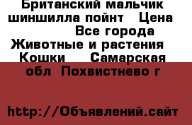 Британский мальчик шиншилла-пойнт › Цена ­ 5 000 - Все города Животные и растения » Кошки   . Самарская обл.,Похвистнево г.